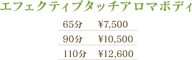 エフェクティブタッチアロマボティ