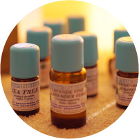 フロリハナを使用